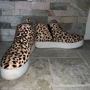 Steve Madden | Shoes | Steve Madden 